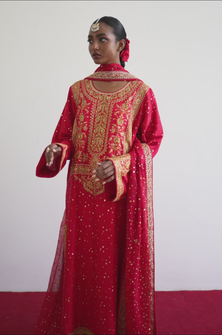 Arzoo video